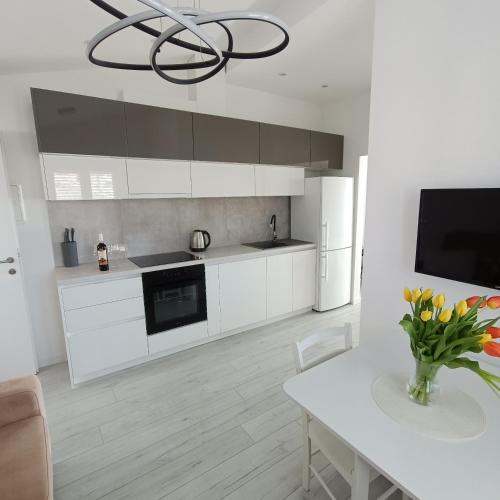 Kuchyň nebo kuchyňský kout v ubytování Apartmani Kristijan