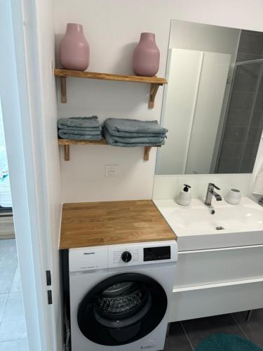 une salle de bain avec une machine à laver et un lavabo dans l'établissement Superbe studio cosy, à Chessy