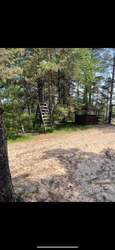 un parco con un'altalena nel bosco di Домик на берегу Чудского озера a Katase