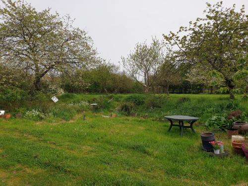 einen Picknicktisch im Gras auf einem Feld in der Unterkunft Eoz an avel in Combourg