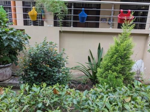 a garden with plants in front of a building at Excellent Home Away from Home! in Noida