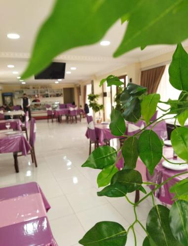 a restaurant with purple tables and chairs and a plant at Star Hotel in Shamakhi