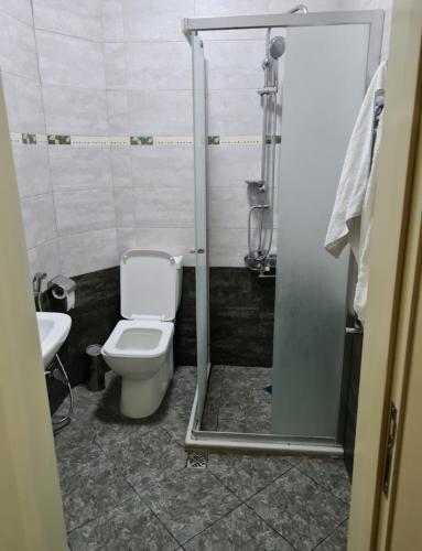 a bathroom with a toilet and a shower and a sink at Star Hotel in Shamakhi
