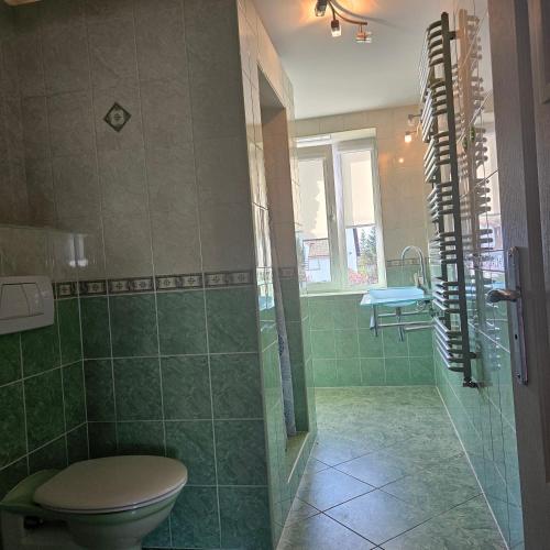 a green bathroom with a toilet and a shower at Apartament Poranek in Grzybowo