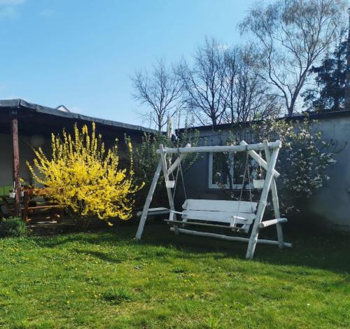 a swing in the grass in a yard at Apartament Poranek in Grzybowo