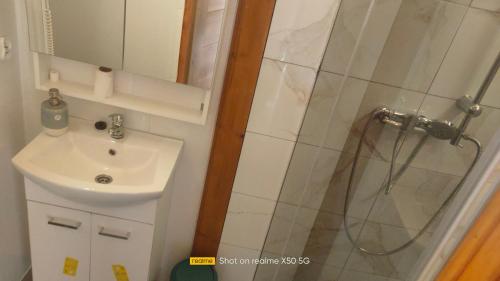 a bathroom with a shower and a sink at apartament w ogrodzie in Głuchołazy