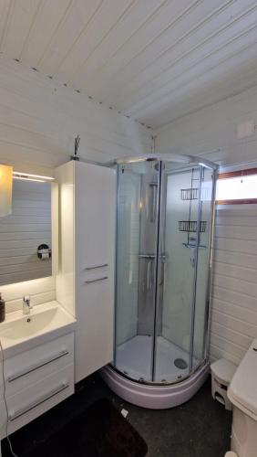 une salle de bain avec douche et lavabo dans l'établissement Cosy cabin in North-Norway, Nearby Senja., à Sorreisa