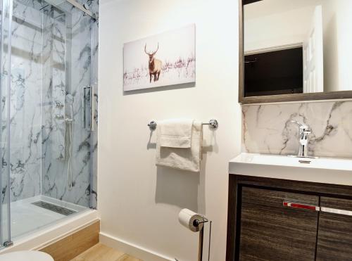 La salle de bains est pourvue d'un lavabo et d'une douche. dans l'établissement Chalets Alpins - 11 Chemin des Skieurs, à Stoneham