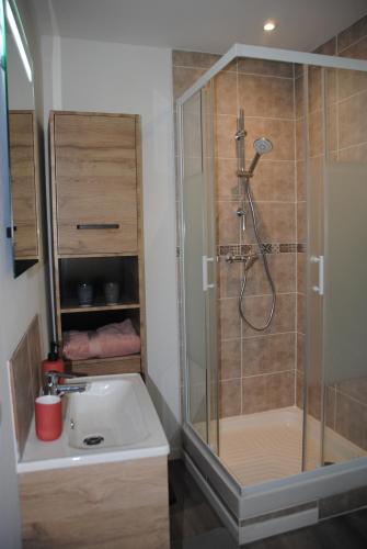 une salle de bain avec douche et lavabo dans l'établissement Appartement cosy au deuxième étage, à Malaucène