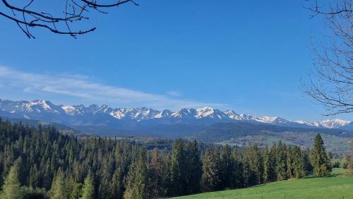 a view of a mountain range with snow covered mountains at Panoramiczny Wierch in Rzepiska