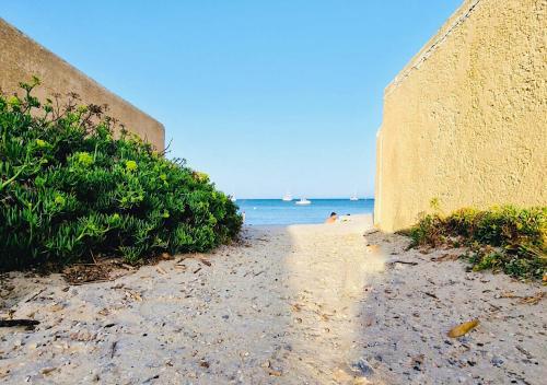 Les flamants Roses la Capte Clim 4pers 100m plage