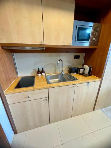 a small kitchen with a sink and a microwave at Apartment JENNY- stunning view of High Tatras in Veľká Lomnica