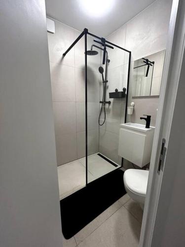ein Bad mit einer Dusche, einem WC und einem Waschbecken in der Unterkunft High-quality flat near city in Brüssel