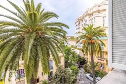 Bright, newly renovated apartment