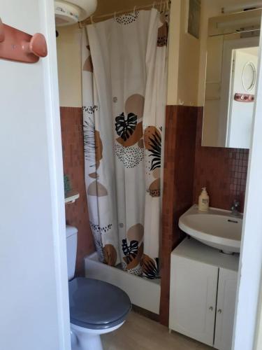 une salle de bain avec un rideau de douche avec des toilettes et un lavabo dans l'établissement Studio - Marina 6 - 37 allée des pinons - 3-1, à Saint-Jean-de-Monts