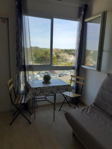 Studio - Marina 6 - 37 allée des pinons - 3-1