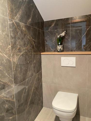 bagno con servizi igienici e parete in marmo. di Maison Paray- Orly- Parking Privé a Paray-Vieille-Poste