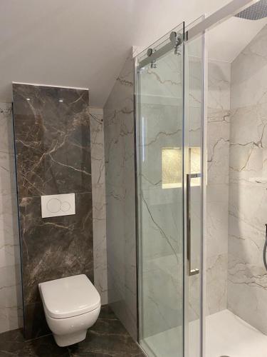 La salle de bains est pourvue de toilettes et d'une douche en verre. dans l'établissement Maison Paray- Orly- Parking Privé, à Paray-Vieille-Poste