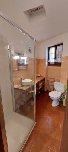 une salle de bain avec une douche, des toilettes et un lavabo dans l'établissement Maison de village sur la citadelle de Calvi, à Calvi