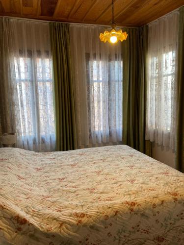 1 dormitorio con 1 cama grande frente a las ventanas en Ayvalık'taki Eviniz en Ayvalık