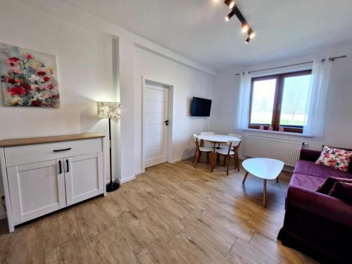 Μια τηλεόραση ή/και κέντρο ψυχαγωγίας στο Apartamenty Mazury