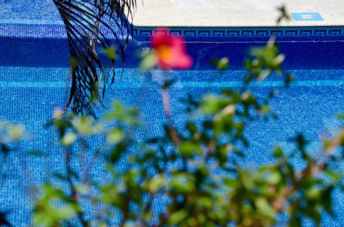 a blurry picture of a pool with a red object at Hotel Hacienda Vallarta - Playa Las Glorias in Puerto Vallarta