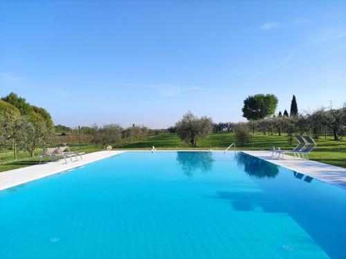 Galeriebild der Unterkunft Agriturismo La Vigna in Colà di Lazise