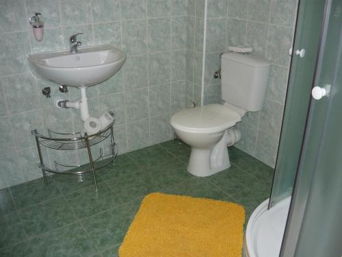 a bathroom with a toilet and a sink at Apartments - Penzion Lena in Hradec Králové