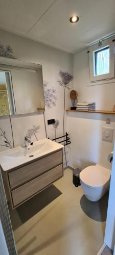 a bathroom with a sink and a toilet and a mirror at Logies Prinsewyk De Knipe/Oranjewoud 