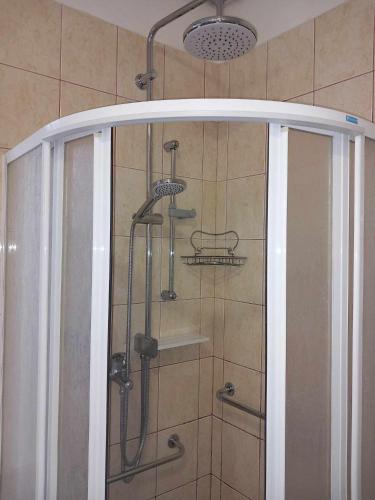 a shower in a bathroom with a glass door at Apartmán Modré z nebe in Němčičky