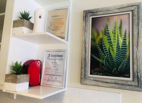 a picture of a cactus on a wall with shelves at Bismarck 2 in Swakopmund