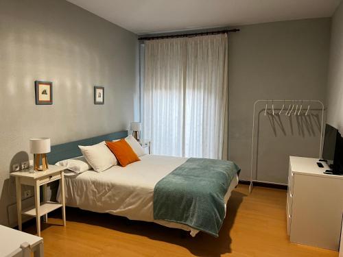 a bedroom with a large bed and a television at Hostal San Martin in León