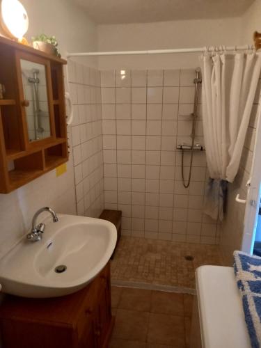 łazienka z umywalką i prysznicem w obiekcie appartement climatisé 35 m2 pour 1 couple - piscine partagée - w mieście Porto-Vecchio