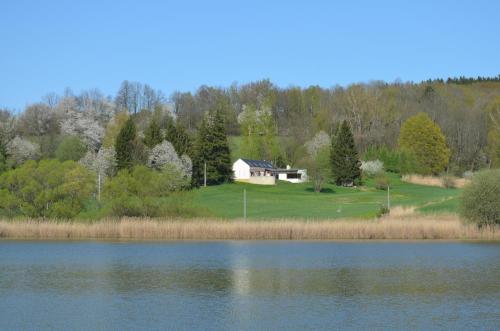 a house on a hill next to a lake at Vila Stašov in Polička