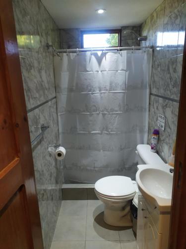 uma casa de banho com um chuveiro, um WC e um lavatório. em Cabaña Oregones del Valle em Mendoza