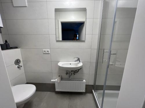 a bathroom with a sink and a toilet and a mirror at Weesby Süderstraße 3.3 in Weesby