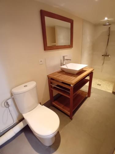 une salle de bain avec des toilettes blanches et un lavabo dans l'établissement Studio sur la Bièvre, à Bièvres