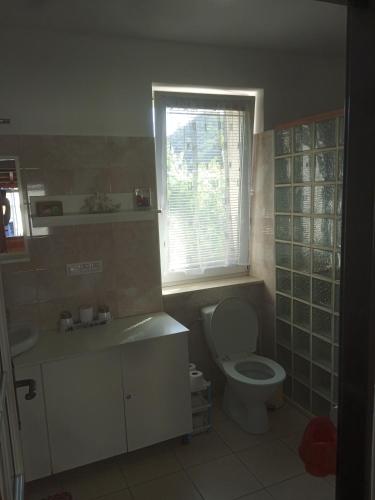 a bathroom with a toilet and a sink and a window at apartman.lara in Děčín