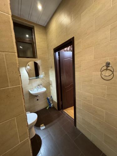 a bathroom with a toilet and a sink at Mtskheta apartment 17 in Mtskheta