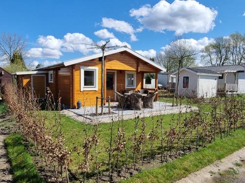 a small house in a yard with vines at Nieuw - Luxe Blokhut Chalet in bosrijke omgeving in Anloo