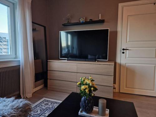 Fotografie z fotogalerie ubytování Private Apartment in Oslo v Oslu