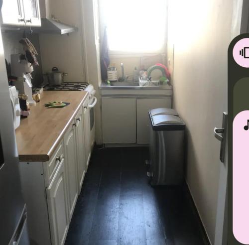 eine kleine Küche mit einer Spüle und einer Theke in der Unterkunft Le 7eme étage in Pantin