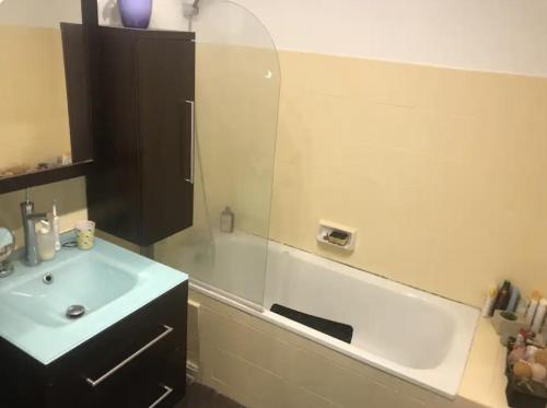 ein Bad mit einem Waschbecken und einem Spiegel in der Unterkunft Le 7eme étage in Pantin