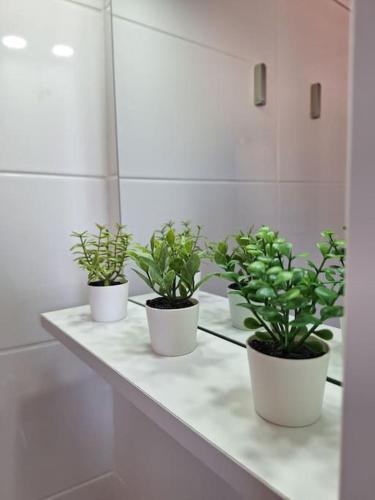 three potted plants sitting on a counter in a bathroom at Vista Mare in Lagkáda
