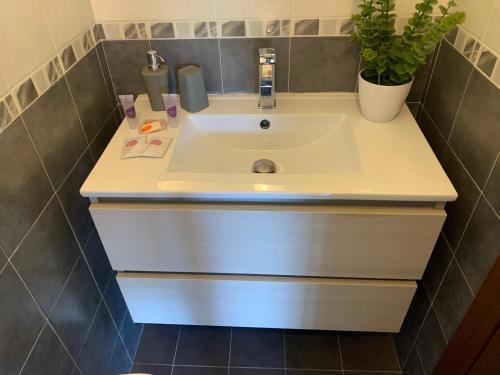 um lavatório branco numa casa de banho com um vaso de plantas em A&G Guest House em Perugia