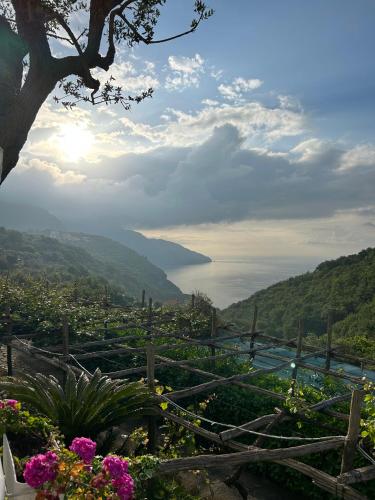 a view of a valley with flowers and a lake at Villa Costanza sorrento B&b in Sant'Agnello