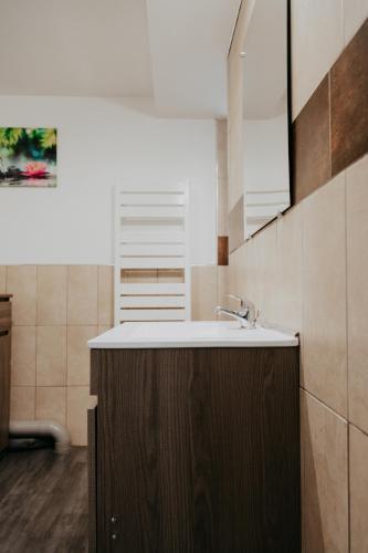 a bathroom with a sink and a counter top at Gîte l'ancienne forge 4 adultes et 2 enfants in Louvetot
