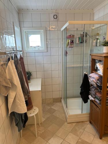 W łazience znajduje się prysznic i przeszklona kabina prysznicowa. w obiekcie Lund Apartment w mieście Kristiansand