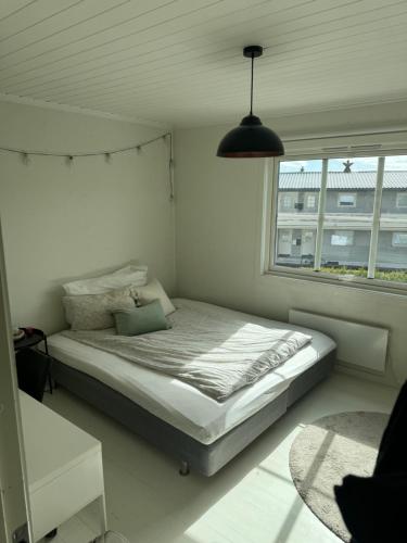 a bedroom with a bed and a large window at Lund Apartment in Kristiansand