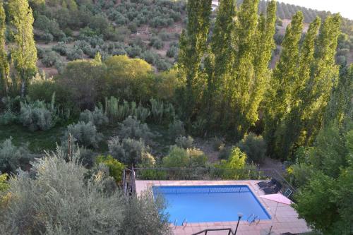 una vista aérea de una piscina en un jardín con árboles en Cortijo los Bataneros, en Segura de la Sierra